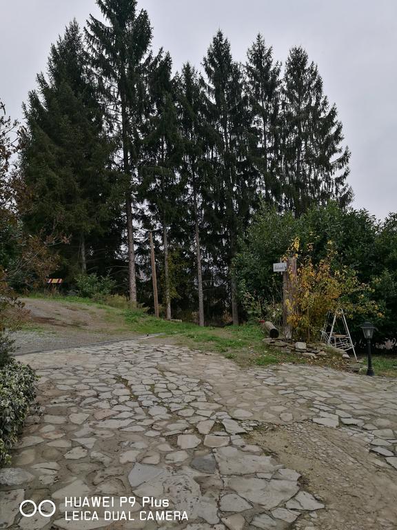 Agriturismo Davide Bossolasco Экстерьер фото